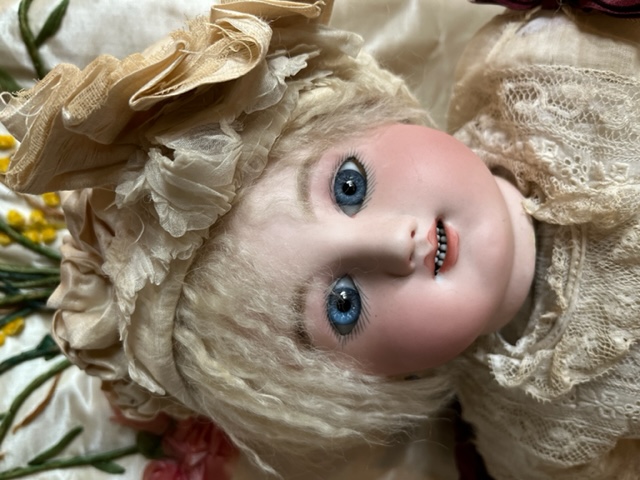 Steiner Gigoteur 57ξܺٲ